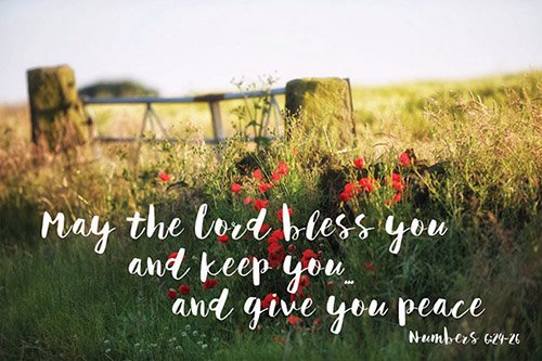 Cards-Pass It On-May The Lord Bless You (3" x 2") (Pack Of 25)