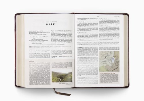 ESV Archaeology Study Bible (TruTone, Brown/Walnut, Portfolio Design)