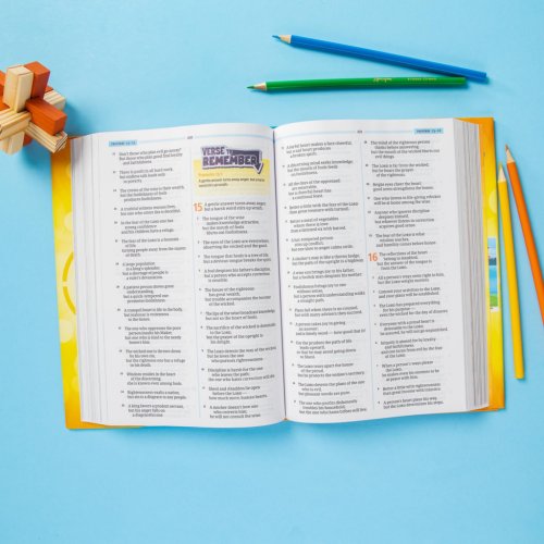CSB One Big Story Bible