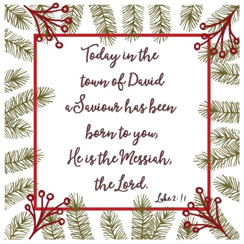 Saviour Has Been Born Christmas Cards (pack of 10), A