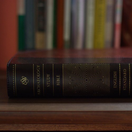 ESV Archaeology Study Bible (TruTone, Brown/Walnut, Portfolio Design)