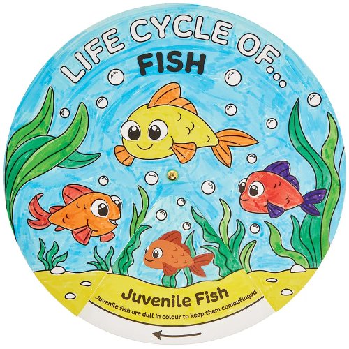 Fish Life Cycle Colour-In Sticker Wheels (Pack of 5)