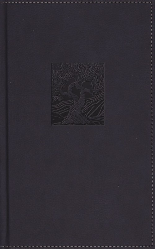 NIV, Heritage Bible, Page Edge Art Edition, Leathersoft over Board, Navy, Red Letter, Comfort Print