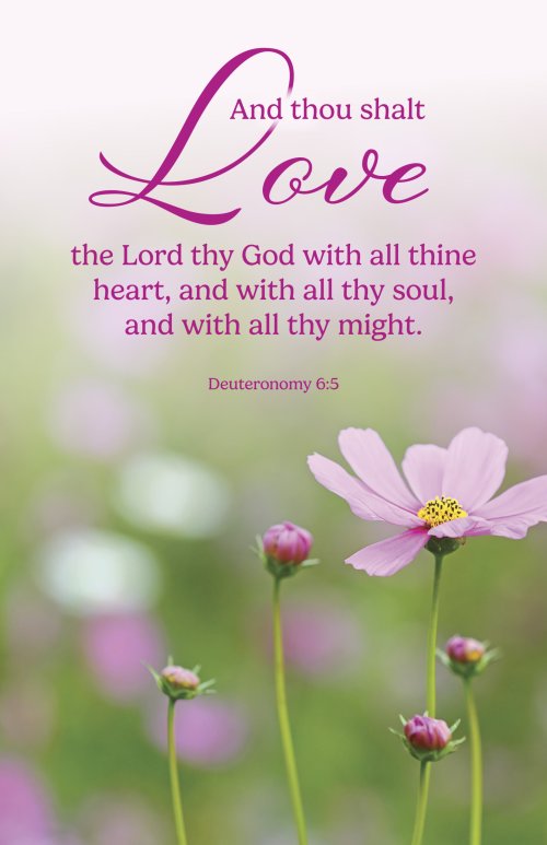 General Worship Bulletin: Thy God (Package of 100)