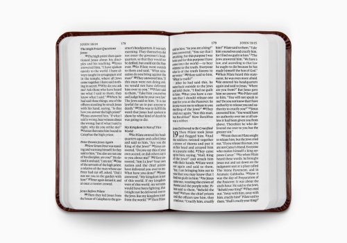 ESV Vest Pocket New Testament with Psalms and Proverbs, Red Letter (TruTone, Chestnut)