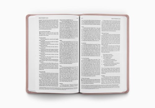 ESV Premium Gift Bible (TruTone, Blush Rose)