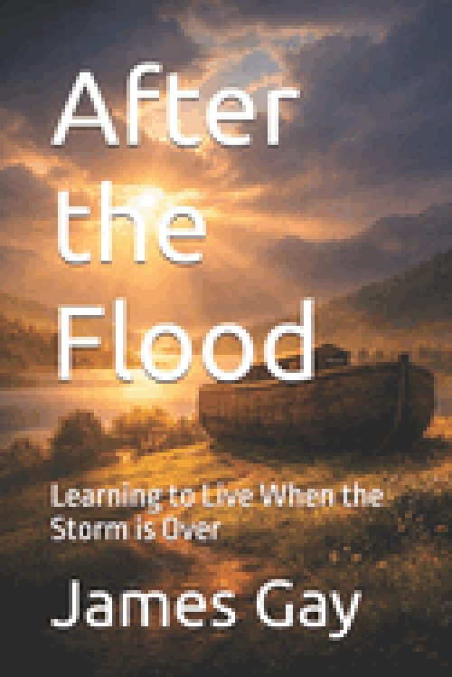 After the Flood:  Learning to Live When the Storm is Over