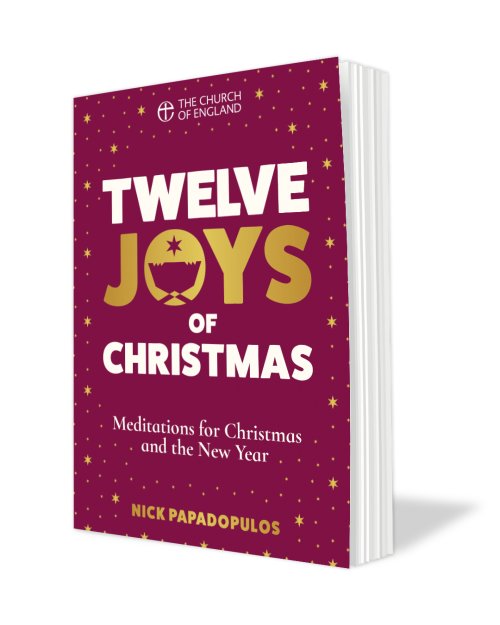 50 x Twelve Joys of Christmas Pack