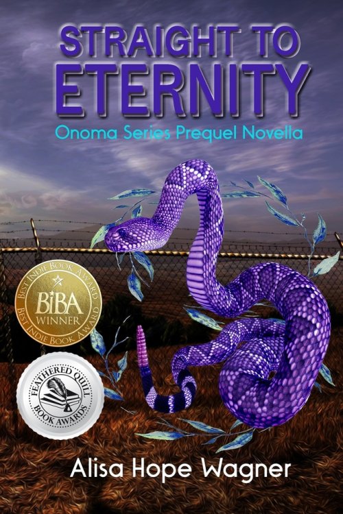 Straight to Eternity : The Onoma Series Prequel Novella