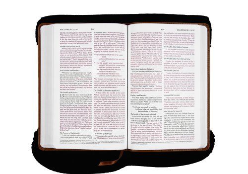 ESV Thinline Bible, Red Letter (TruTone, Brown, Royal Lion Design)