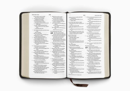 ESV Compact Bible (Buffalo Leather, Deep Brown)