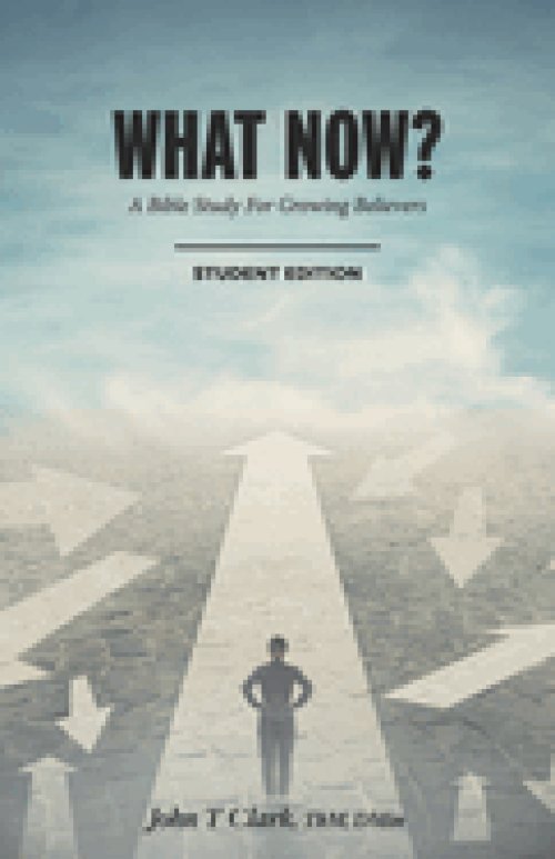 What Now?: A Bible Study for Growing Believers Student Edition