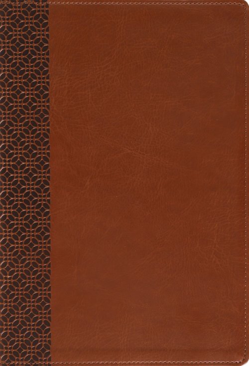 Amplified Holy Bible, Large Print, Leathersoft, Brown