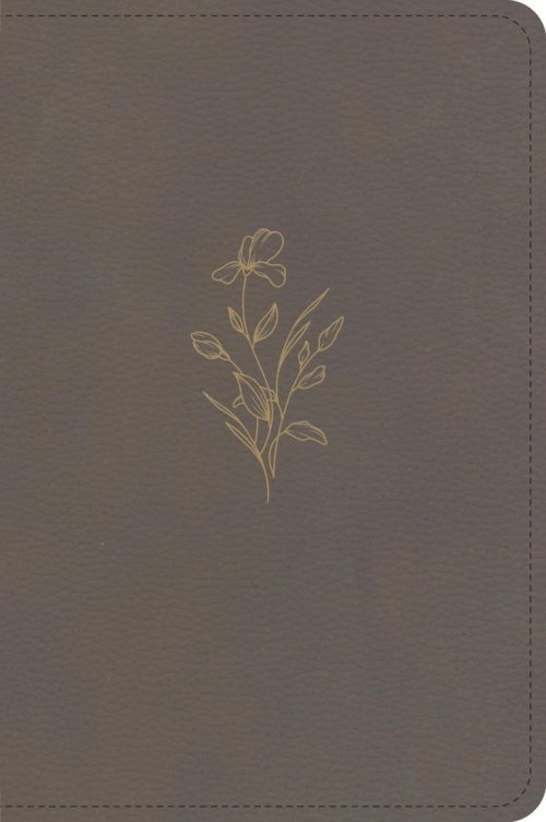 KJV Large Print Compact Reference Bible, Clay