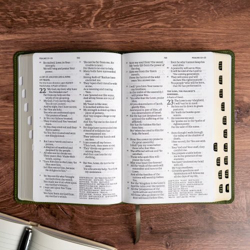 NASB Personal Size Giant Print Bible, Olive, Indexed