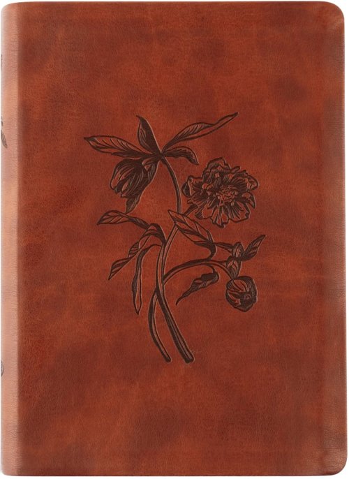 ESV Large Print Journaling Bible: Verona Theme