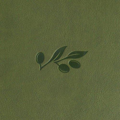 CSB Single-Column Personal Size Reference Bible, Olive