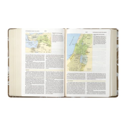 ESV Study Bible: Manila Theme