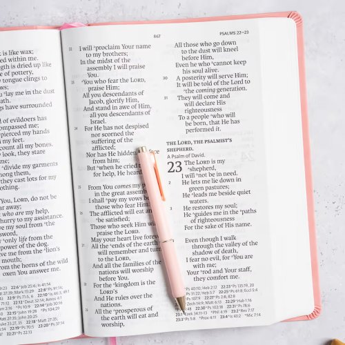 NASB Super Giant Print Reference Bible, Value Edition, Pink