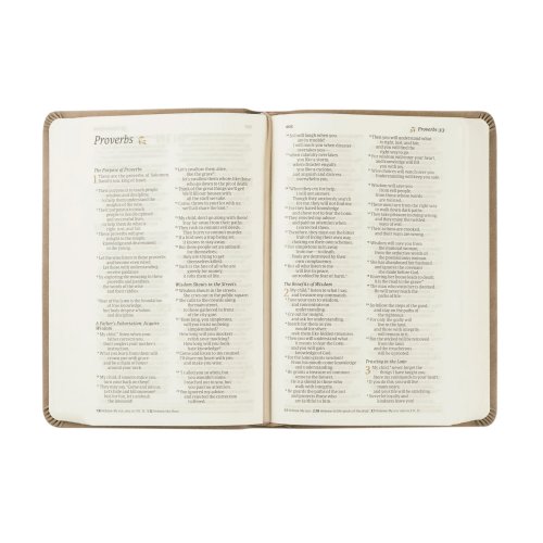Hosanna revival NLT Compact Bible + Notebook: Marlo Theme