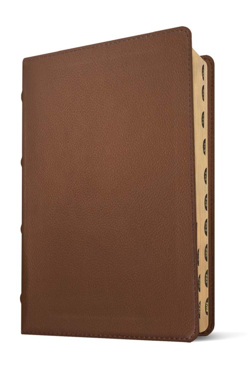 NLT Select Large Print Thinline Reference Bible, Filament Enabled (Goatskin Leather, Brown, Indexed, Red Letter)