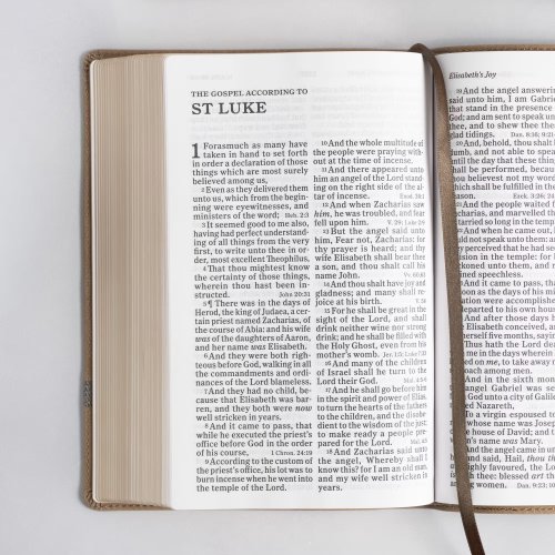 KJV Large Print Personal Size Reference Bible, Earthen Suede