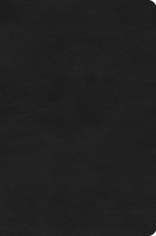 ESV Value Compact Bible, Red Letter (TruTone, Black)