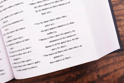 NIrV, Clear Focus Bible, Hardcover, Charcoal/Blue