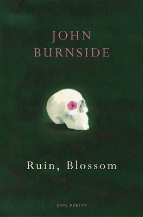 Ruin, Blossom