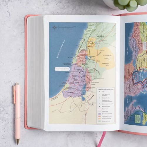 NASB Super Giant Print Reference Bible, Value Edition, Pink