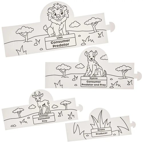 Food Chain Animal Nesting Colour-In Sets (Pack of 3)