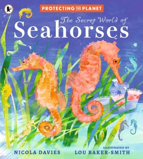 Protecting The Planet: The Secret World Of Seahorses