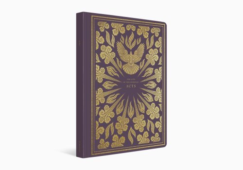 Acts - ESV Illuminated Scripture Journal