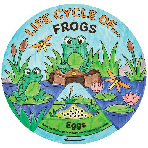 Frog Life Cycle Colour-In Sticker Wheels (Pack of 5)