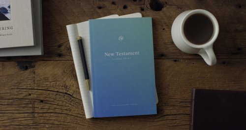 ESV Outreach New Testament, Large Print (Paperback)