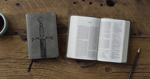 ESV Compact Bible (TruTone, Silver, Sword Design)