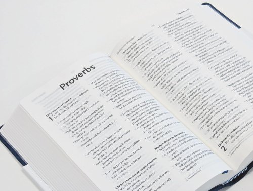 NLT Holy Bible, Navy Blue Flexiback, Leather-Feel, Debossed Detailing, British Text, NLT New Living Translation, Flexiback, Standard size