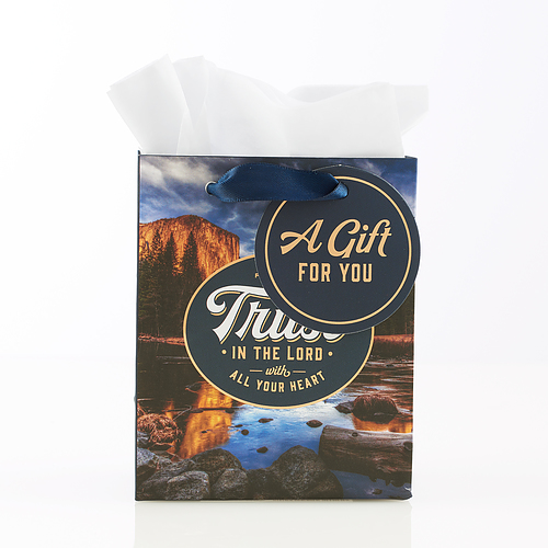 Scenic Nature Gift Bag/Tissue Paper Set Trust in The Lord Prov. 3:5, Extra Small