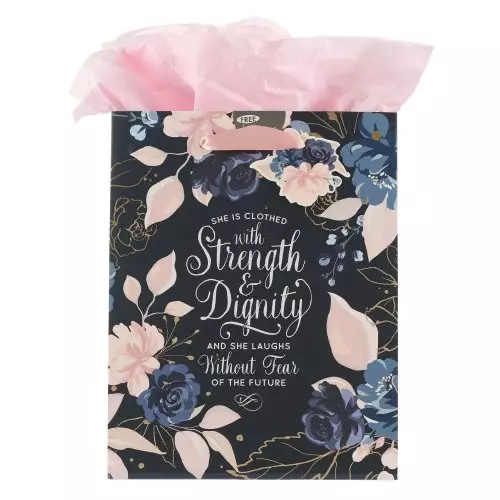 Gift Bag MD Blue/Pink Strength & Dignity Prov. 31:25