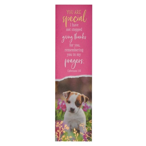 Bookmark-You Are Special  Pink Eph 1:16