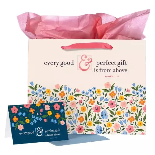 Gift Bag w/ Card LG Landscape Cream/Blue/Pink Every Good & Perfect Gift James 1:17