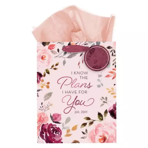 Gift Bag MD Pink I Know the Plans Jer. 29:11
