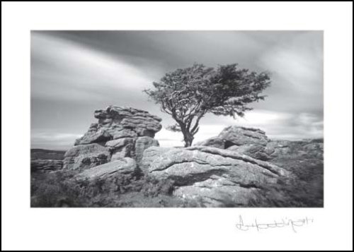 Saddletor