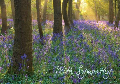 With Sympathy - May it comfort you to know...