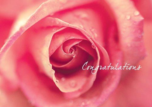 Congratulations - Standard Card