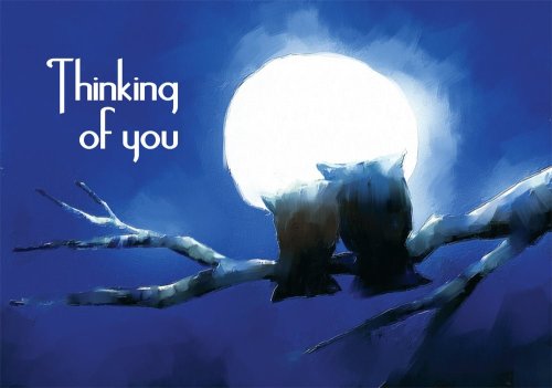 Thinking Of You - Owls