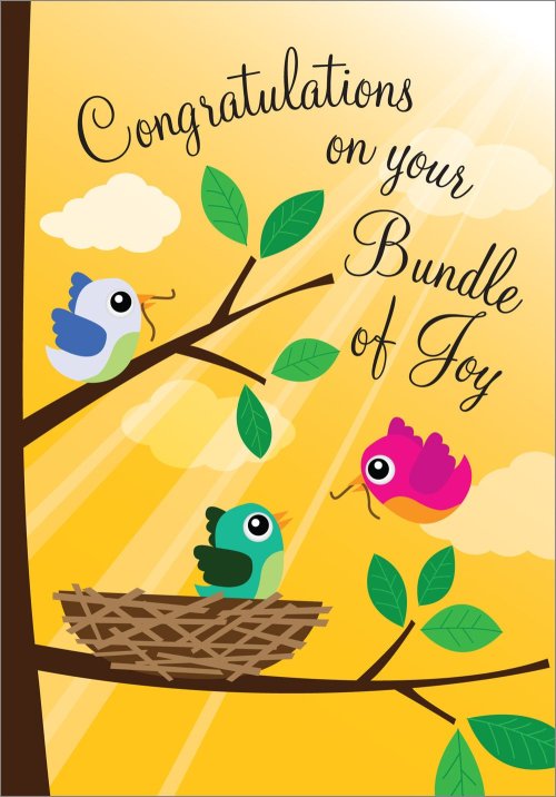 Congrats On Your Bundle Of Joy