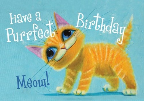 Purrfect Birthday - Cat Std CardGloss (6 Pack)