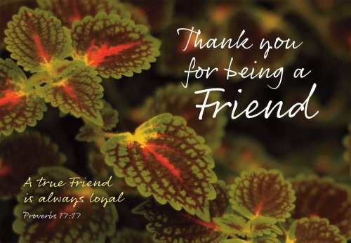Thank You - LeavesStd Card Gloss (6 Pack)