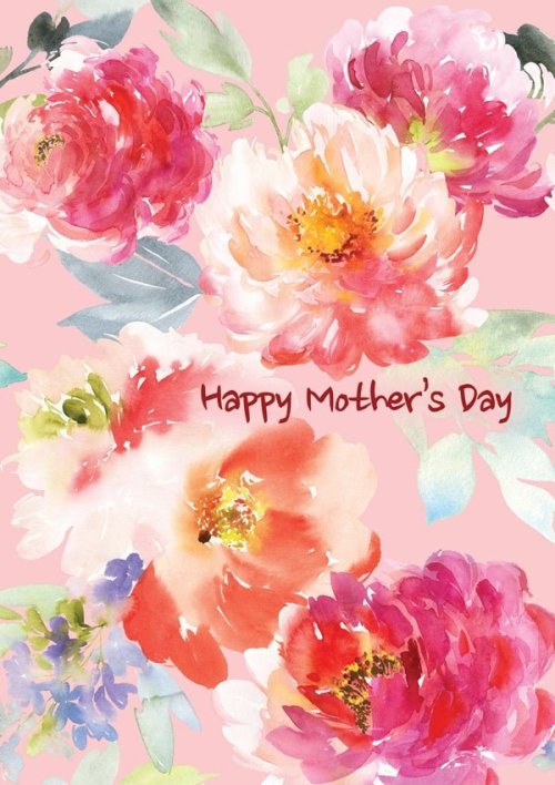 Mothers Day - Pink Flowers Std Card Textured (6 Pack)